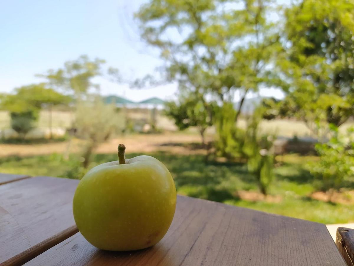 Kır Evi Ktima Anastasia *