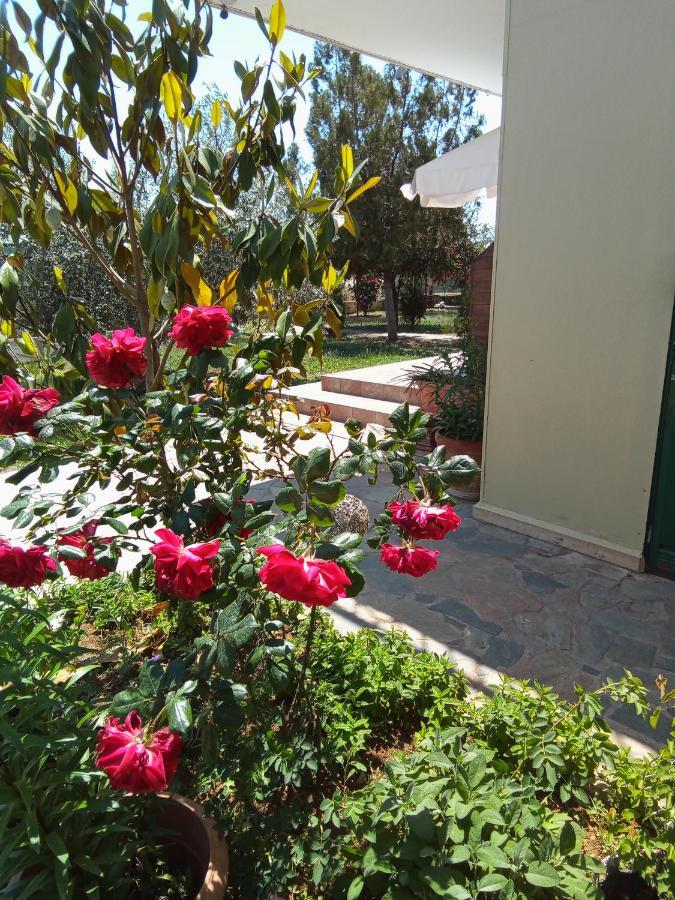 Kır Evi Ktima Anastasia