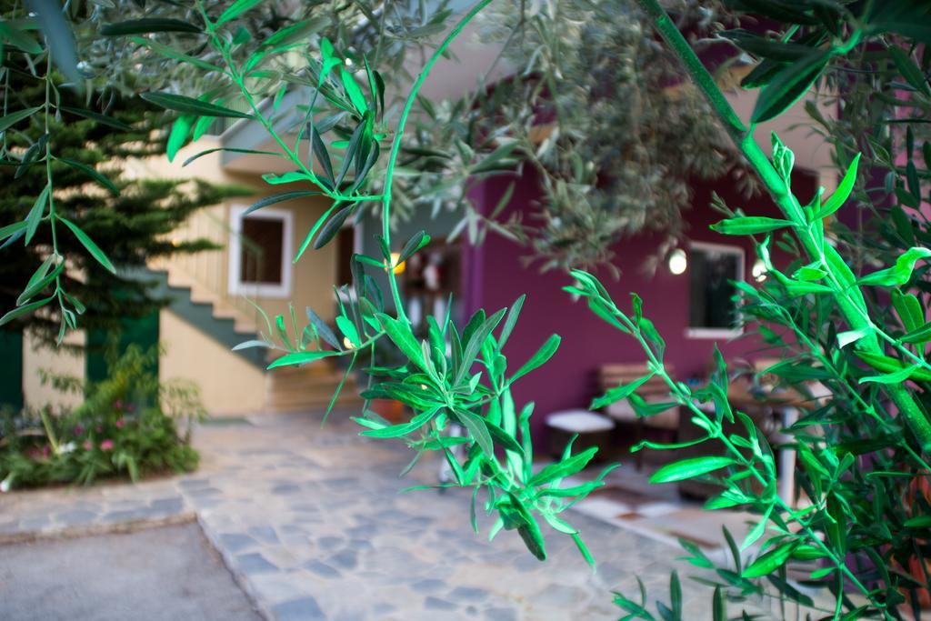 Ktima Anastasia Kır Evi