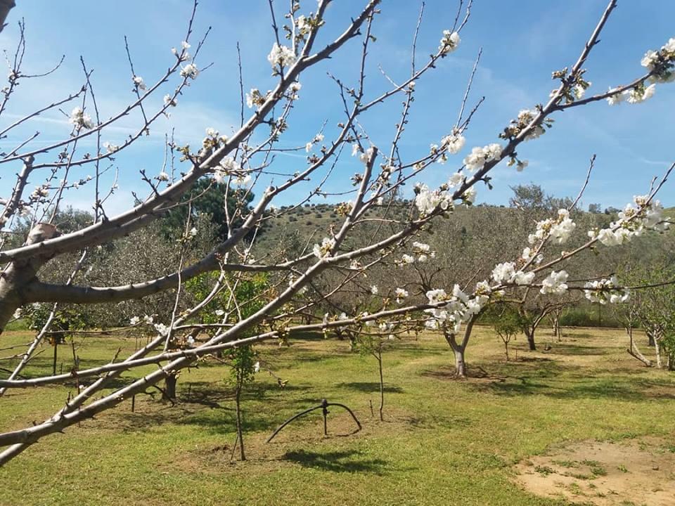 Kır Evi Ktima Anastasia