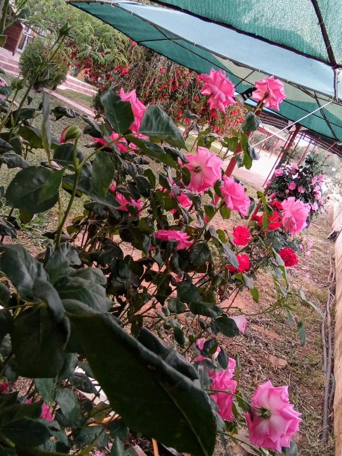 Country house Ktima Anastasia