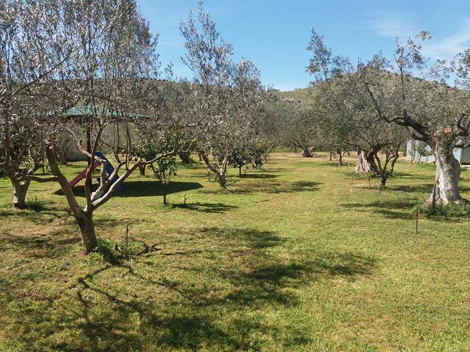Ktima Anastasia Nauplion